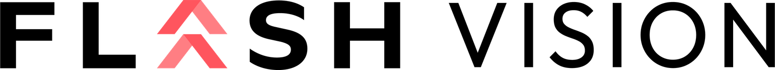 Flash Vision™